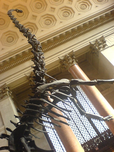 Nowy Jork, Muzeum Historii Naturalnej