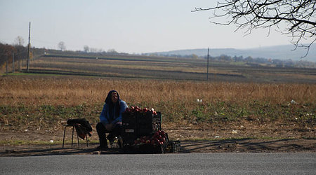 Gagauzja - jabłka – Leova, Mołdawia
