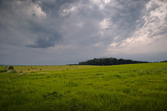 Pejzaż 