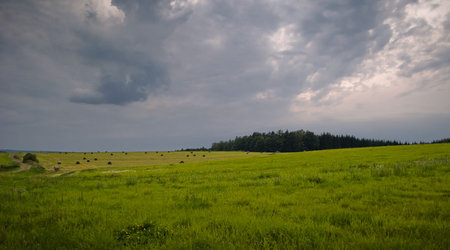 Pejzaż – Polska