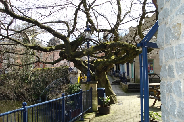 Matlock