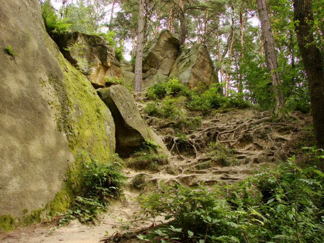 Rezerwat Skamieniałe Miasto k. Ciężkowic