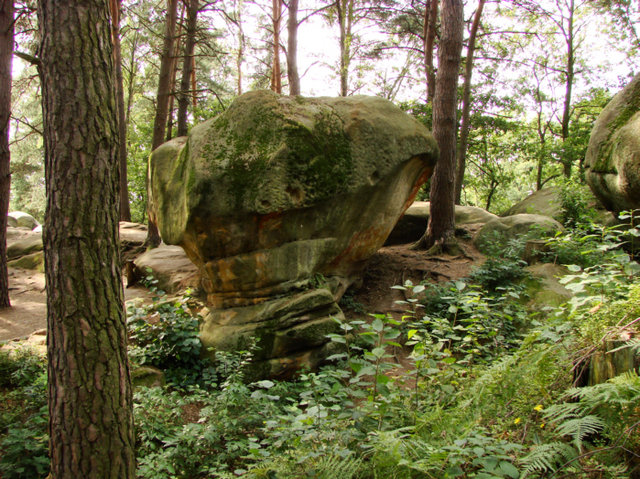 Rezerwat Skamieniałe Miasto k. Ciężkowic