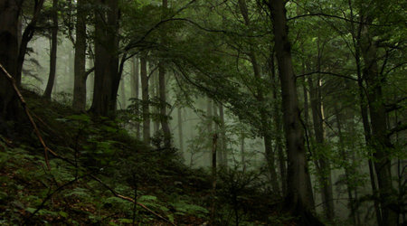 114028 - Pieniny – Polska