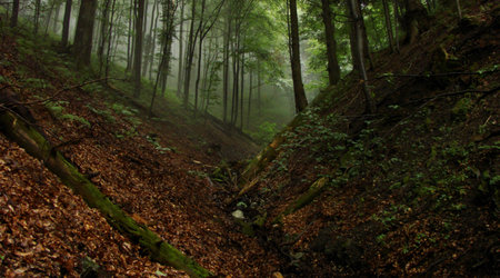 114029 - Pieniny – Polska
