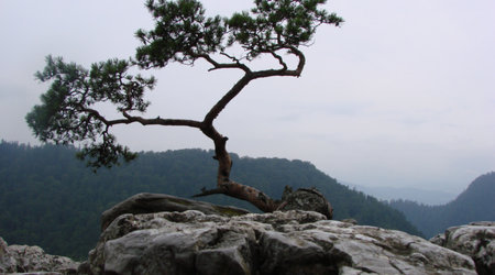 Pieniny - Sokolica – Polska