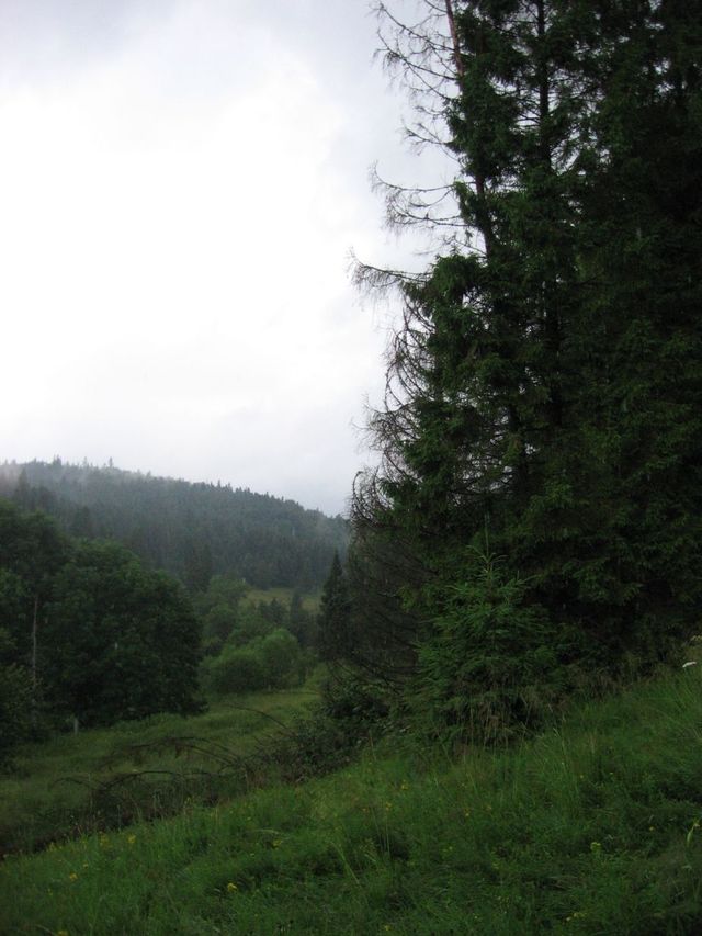 Bieszczady