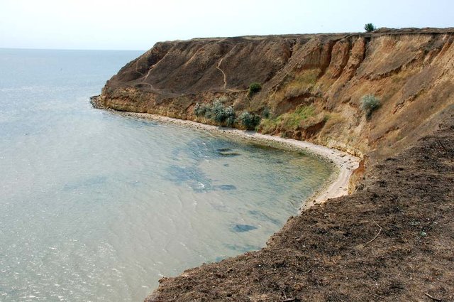 Rybakivka
