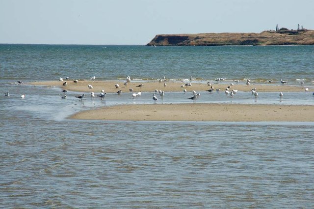 Rybakivka