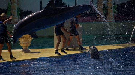 Imgp5301 – Antibes, Francja