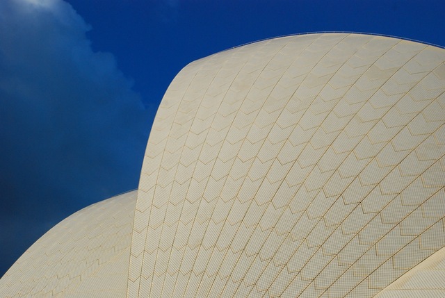 szarawa kolula opery w sydney nabiera koloru w sloncu