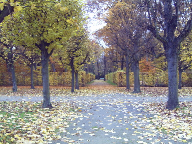 Jesienne ogrody zamku Charlottenburg