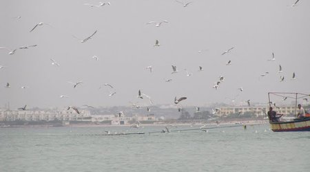 Monastir – Tunezja