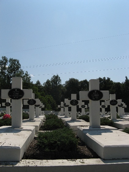 Orlęta