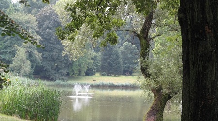 staw w parku – Krasiczyn, Polska