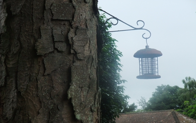 East Grinstead