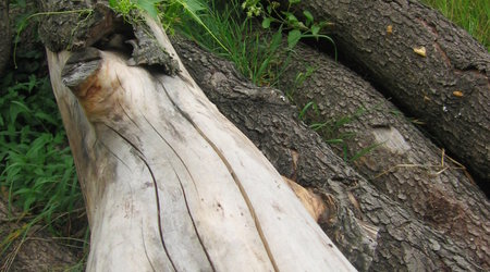 Suliszów – Polska