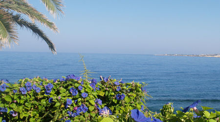 Cypr, Paphos