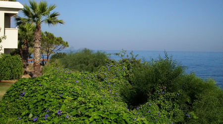 Cypr, Paphos