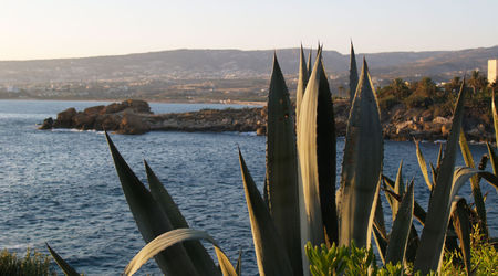 Cypr, Paphos