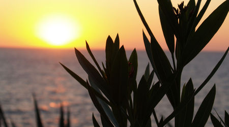 Cypr, Paphos