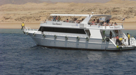 Egipt wyprawa do Ras Mohamed National Park – Sharm el Sheikh