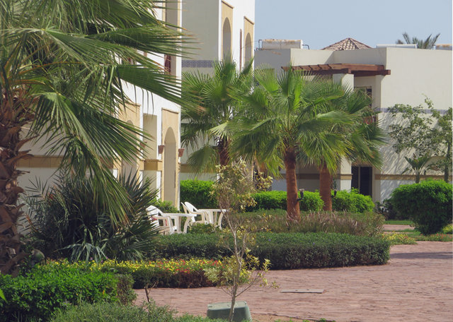 Egipt Sharm El Sheikh - Hotel Shores Aloha