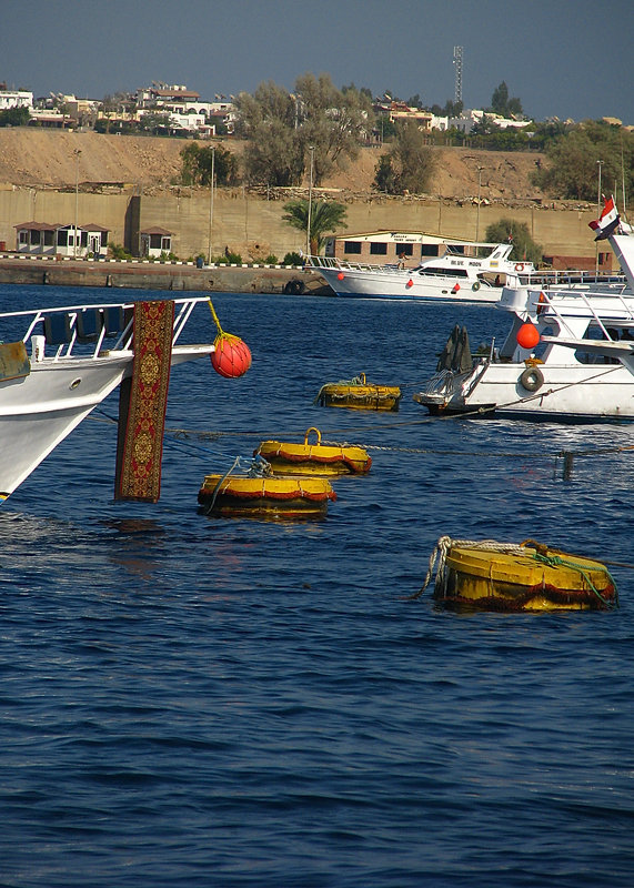 Egipt Sharm El Sheikh - cumujemy