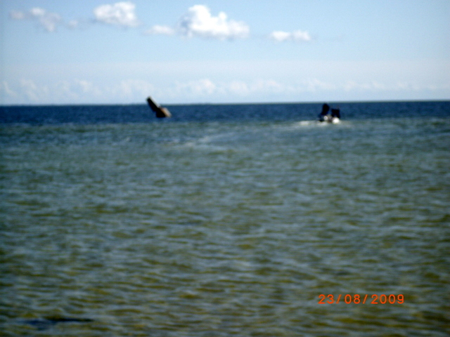 Imgp4956
