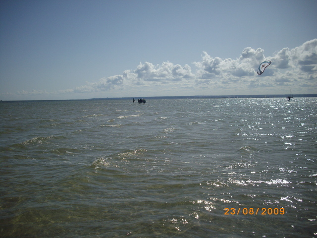 Imgp4973