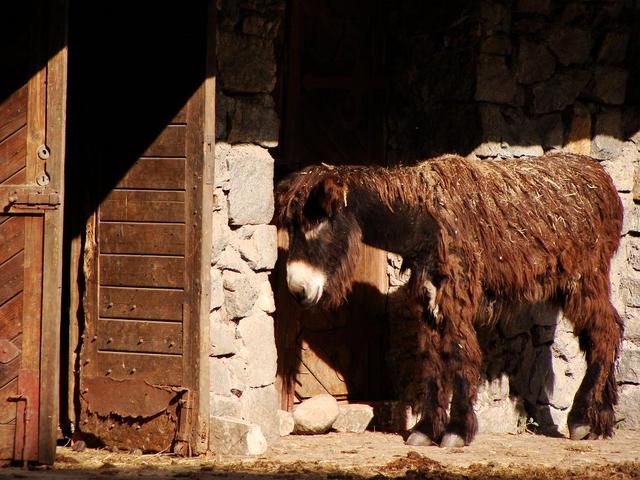Zoo