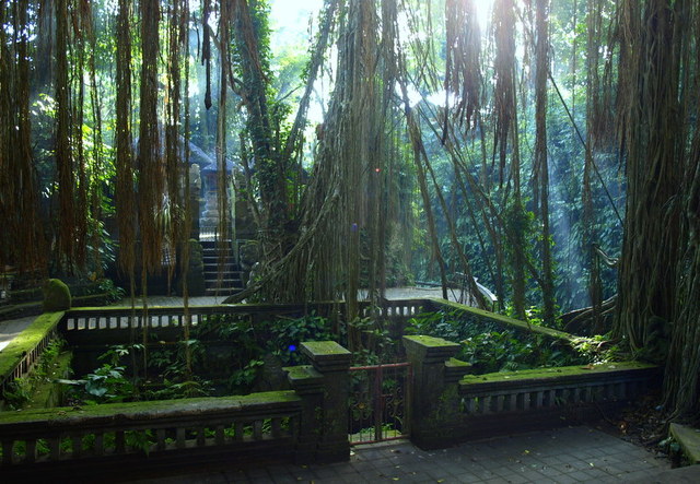 kolo ubud
