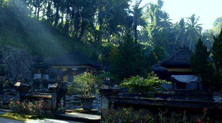 kolo ubud – Bali, Indonezja