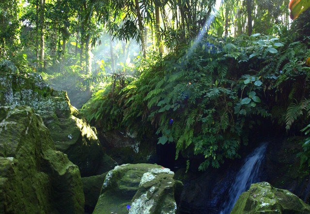 kolo ubud