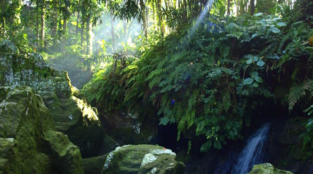 kolo ubud – Bali, Indonezja