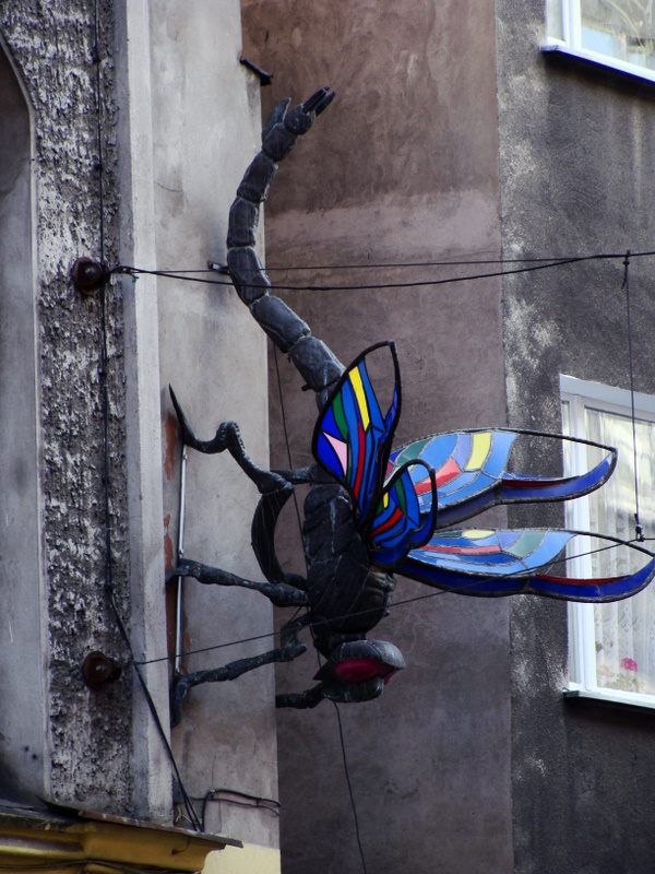 Dsc00091 1