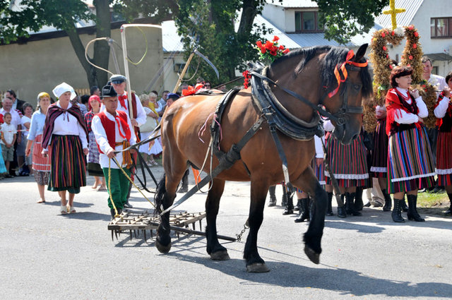 Dsc 7377 Dożynki w Gliniance