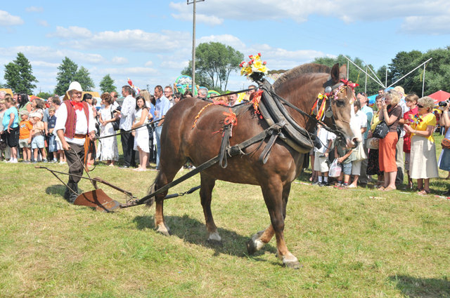 Dsc 7391 Dożynki w Gliniance