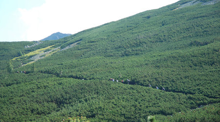 Granaty 11 – Tatry, Polska
