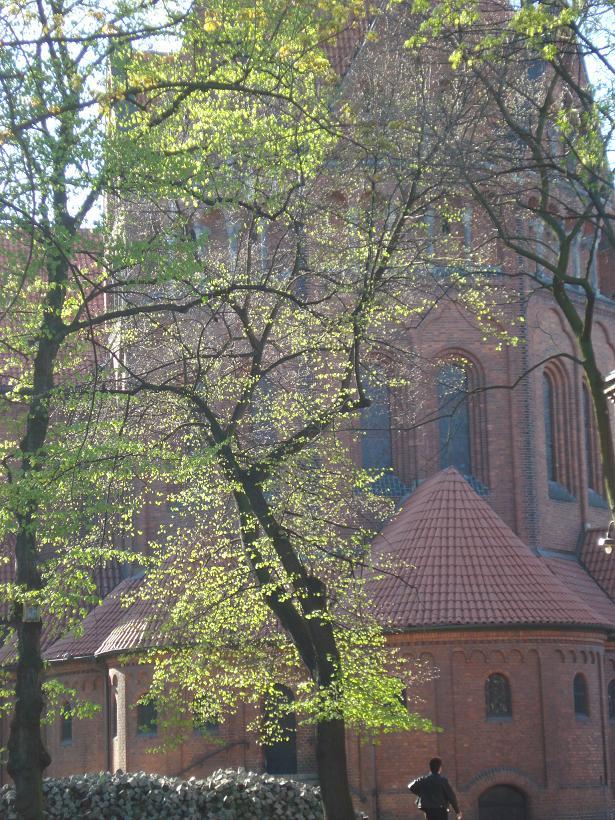 2009 054