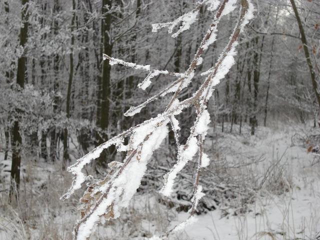 Zima 1
