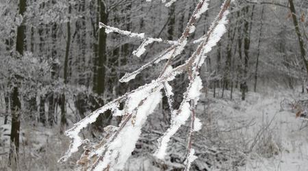 Zima 1 – łąkociny, Polska