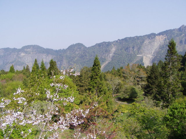 Alishan