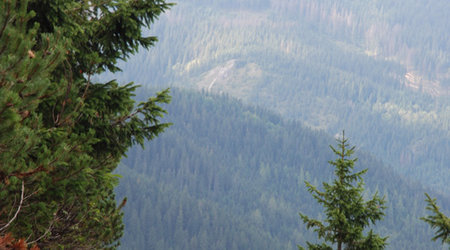 Koscielec 85 – Tatry, Polska