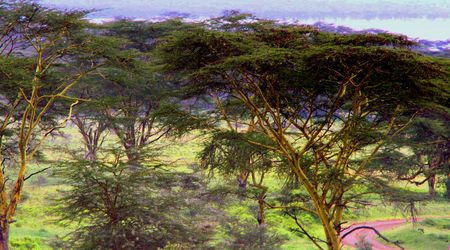 Kenia  111  Dachy Afryki – Cudowna Planeta