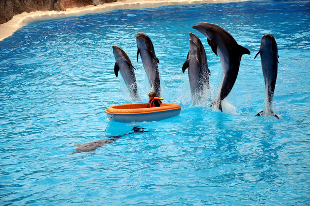 Loro Park