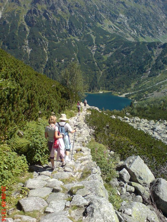 Dsc01780