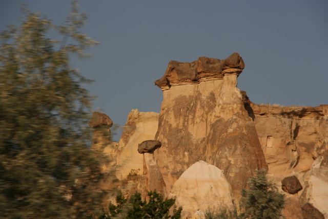 Img 0217