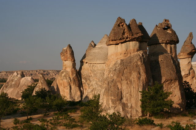 Img 0240