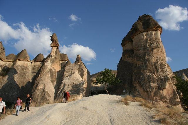 Img 0257